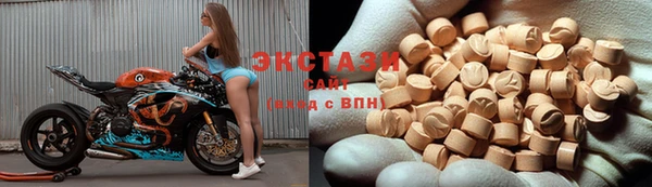 дмт Богородицк