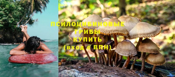 дмт Богородицк